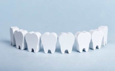How Many Teeth Do Adults Have?